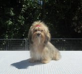 logo article ou rubrique