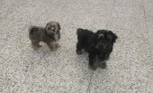 Winnie avec Xelia