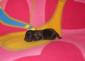 Winnie 1 semaine