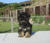 Winnie 3 mois