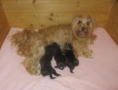 Maman et bébés 1 semaine