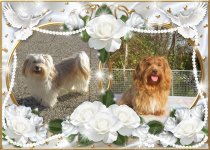 logo article ou rubrique